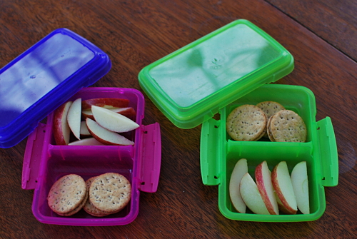 Multi-grain crackers with Sunflower Butter, Apple Slices