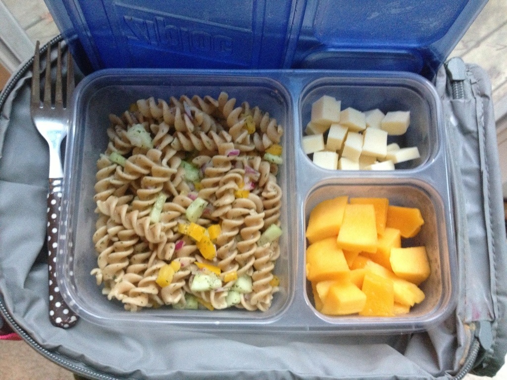 Pasta Salad (with whole wheat spiral noodles & vinegar/olive oil/dill dressing), Monterrey Jack cheese cubes, and diced mango.
