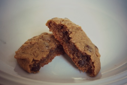 gluten free chocolate chip cookie